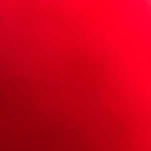 Meet your Posher, Ava